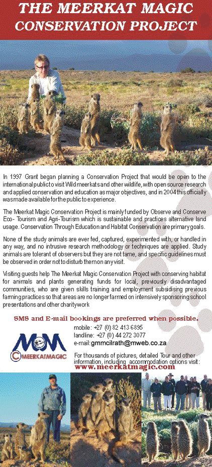 The Meerkat Magic Conservation Project Brochure