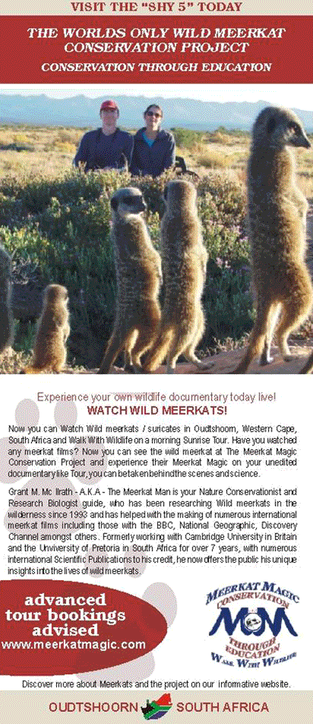 The Meerkat Magic Conservation Project Brochure