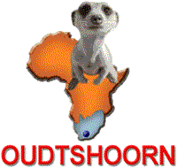 The Meerkat Magic Conservation Project Oudtshoorn Western Cape South Africa.