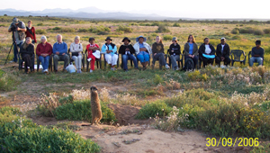 meerkat suricate meerkats suricates wildlife tour Meerkat Magic conserevation project Oudtshoorn Wetsern Cape Klein Karoo Little Karoo Garden Route Area South Africa Accommodation links 381