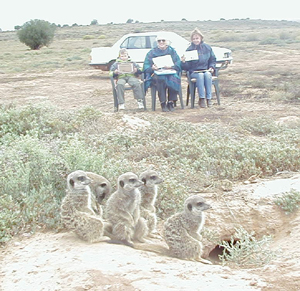 Estelle Mc Ilrath and Art Students Birgit and Max Scwarz on a Sunrise Morning Tour with Wild meerkats / suricates