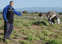 meerkat suricate meerkats suricates tour Meerkat Magic 56
