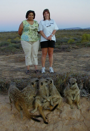 meerkat suricate meerkats suricates tour Meerkat Magic 36
