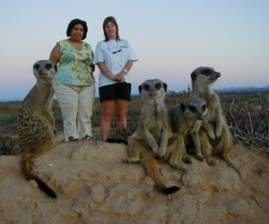 meerkat suricate meerkats suricates tour Meerkat Magic 39