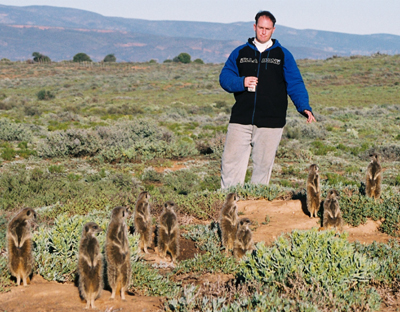 meerkat suricate meerkats suricates tour Meerkat Magic 41