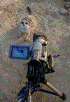 Wildlife Films