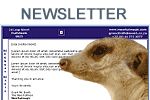 Powered-by-4nNewsletter-Version-0.91