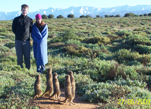 Amazing snow covered peaks of The Great Black Mountain Range - Swartberg in the distance behind special guests - meerkat veterans watching wild meerkats / suricates from The Ungulungu meerkat / suricate group on their unique in the world tour at The Meerkat Magic Conservation Project in The Meerkat Magic Valley in Oudtshoorn, Western Cape of South Africa.